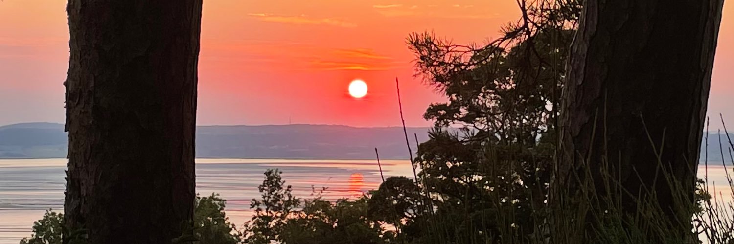 Dr Sarah Floyd banner