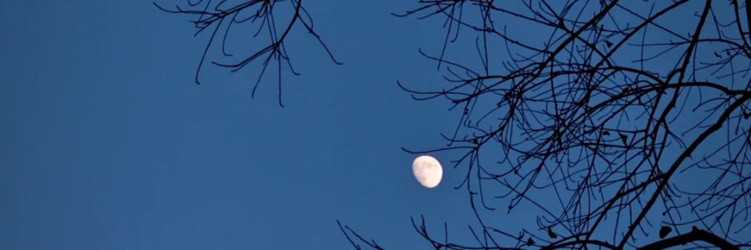 Hanni88770's profile banner image