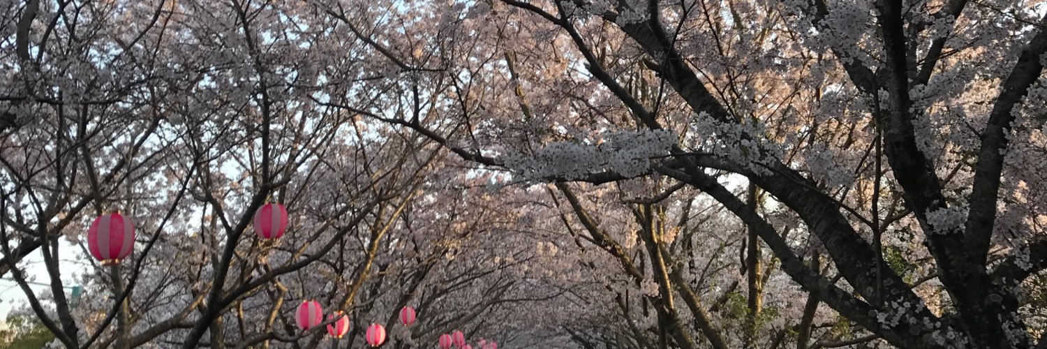 ryoya3300's profile banner image