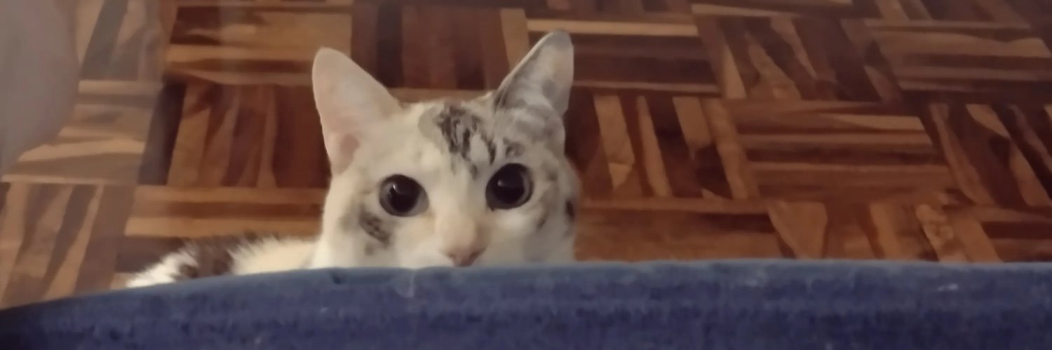 Roddd's profile banner image