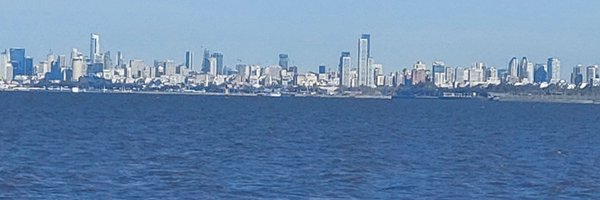 roxroyo Profile Banner