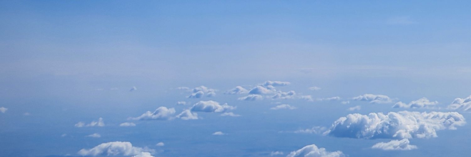 liximulee's profile banner image