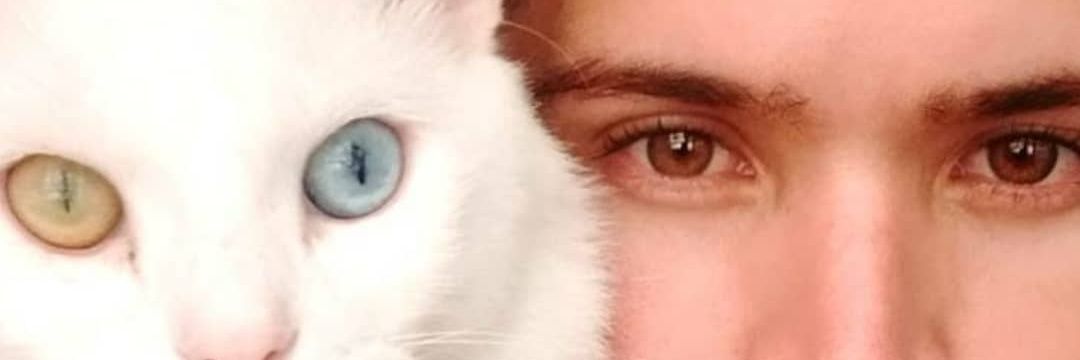 lynderson's profile banner image