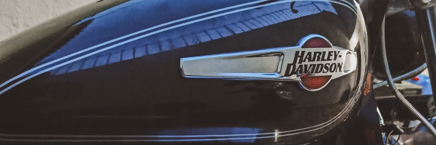 AnaBorgess_'s profile banner image