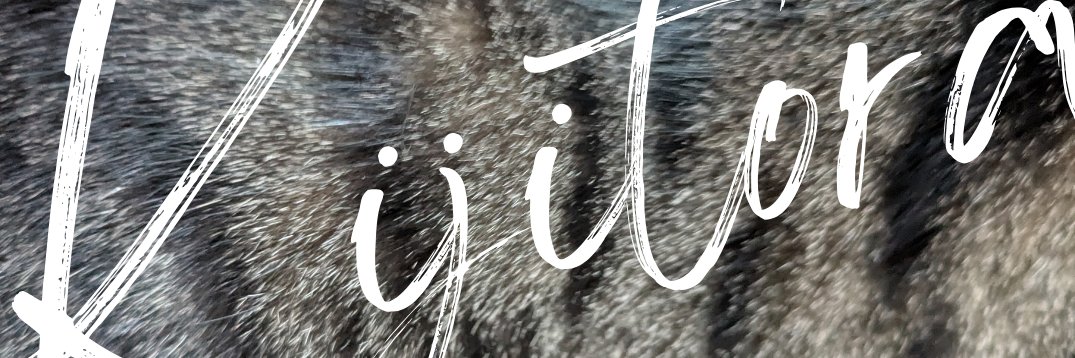 きじとら's banner