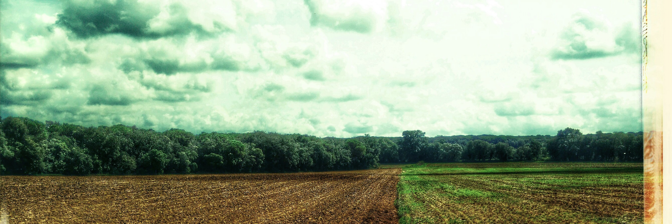 Laia Sánchez Casals banner