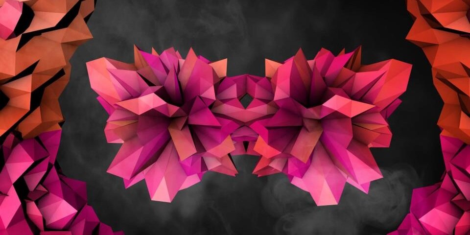 fraphotography's profile banner image