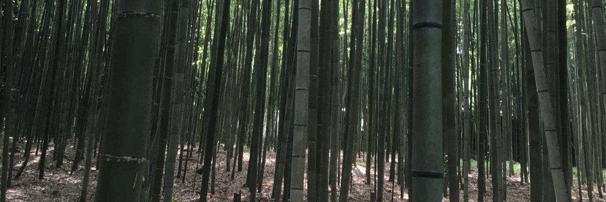 JCGG_AB's profile banner image