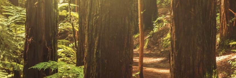 mrahde's profile banner image