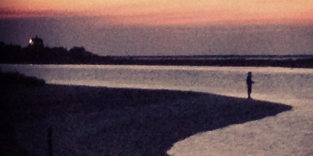 Michael Fleisher banner