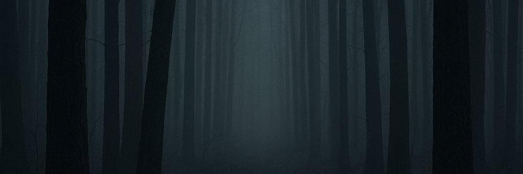 robert robinson banner