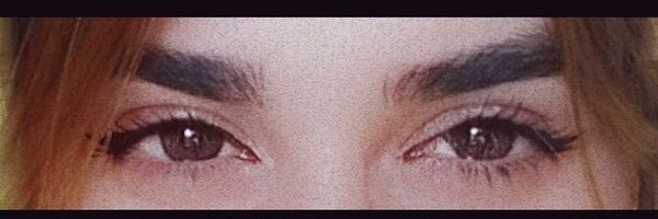 vizvizim Profile Banner