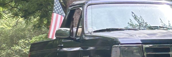 shimmyalldays Profile Banner