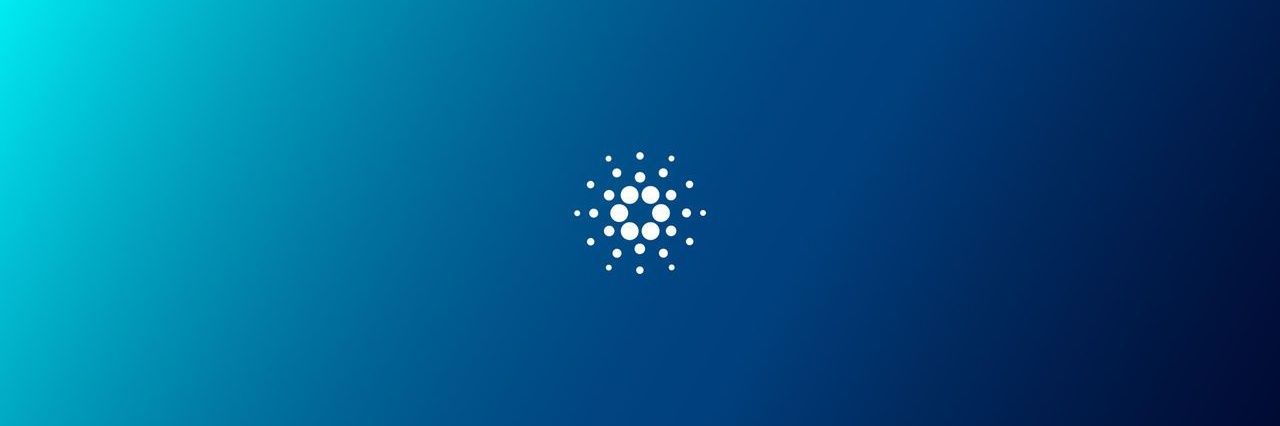 BuildNestHq's profile banner image