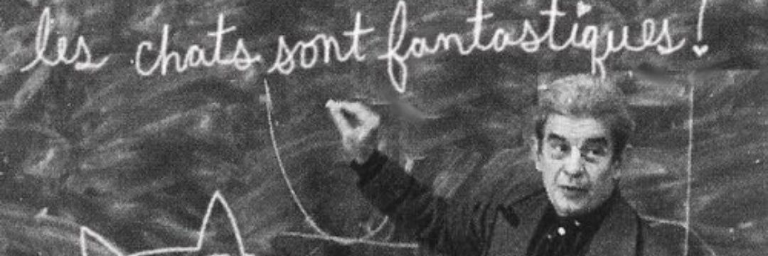 flaviapierry's profile banner image