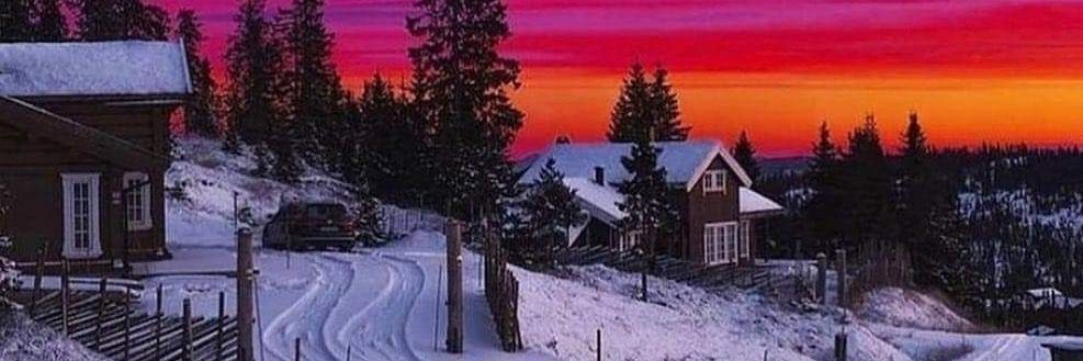 Steven morris banner