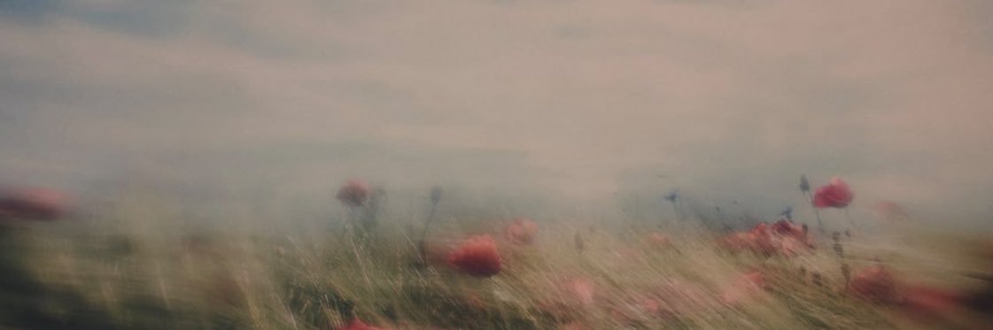 __11sky's profile banner image