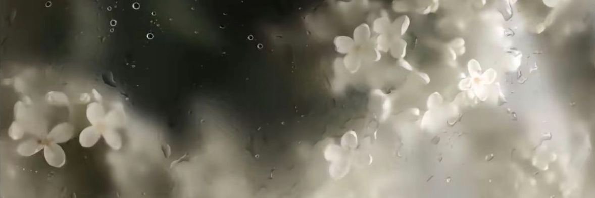 chai banner