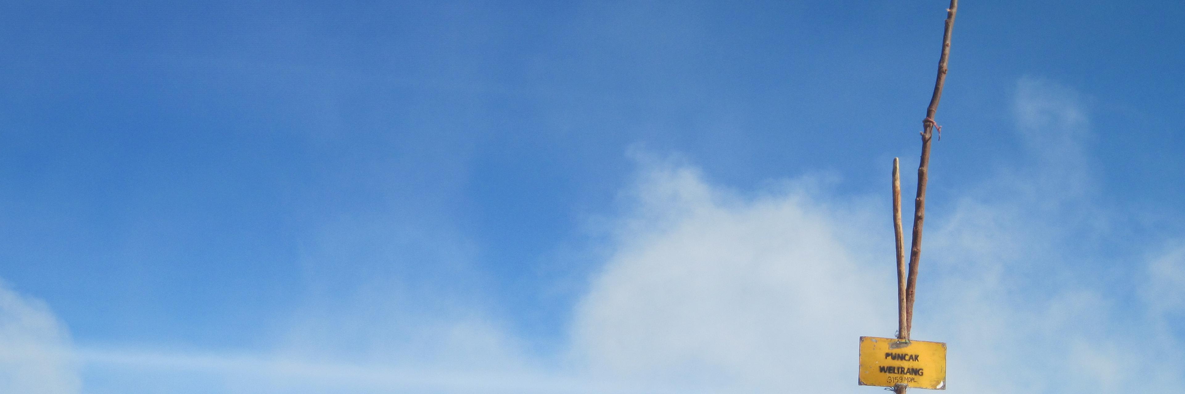 mfcsyaddad's profile banner image