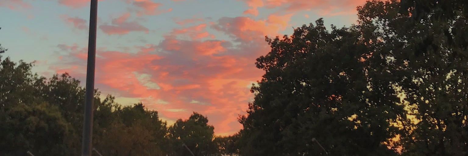Relewixx's profile banner image