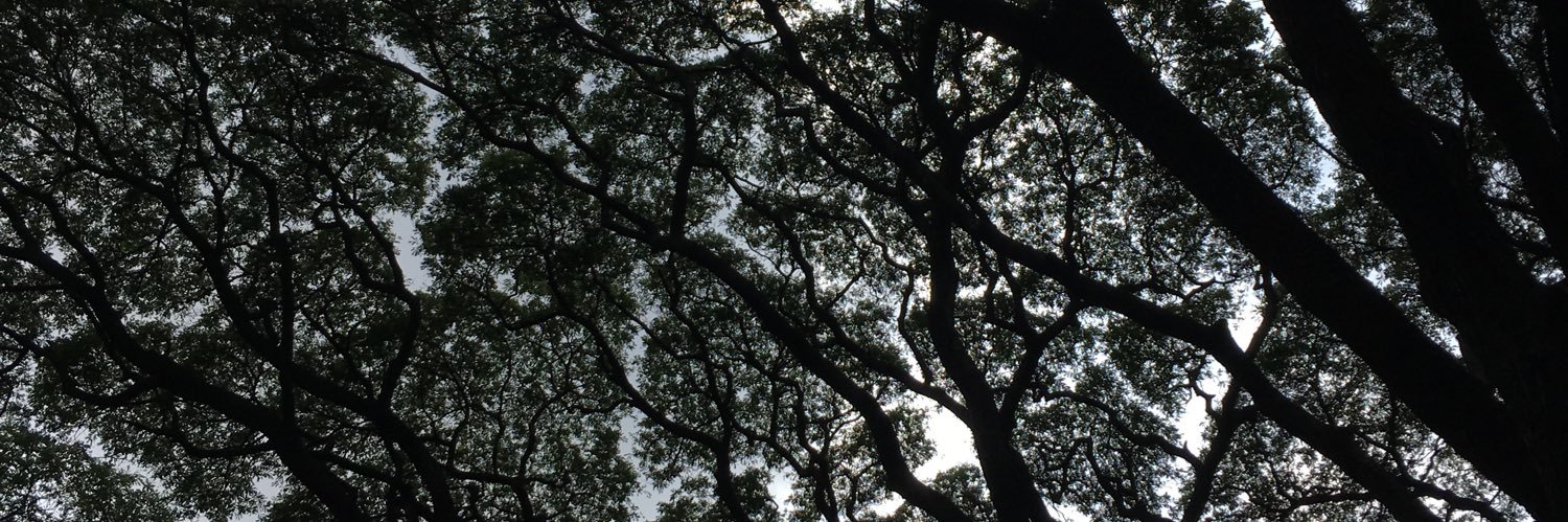 prashantwrites's profile banner image