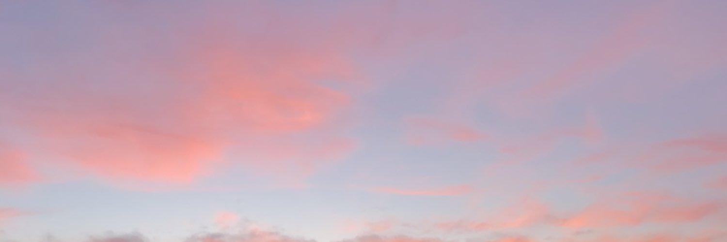 elau29's profile banner image