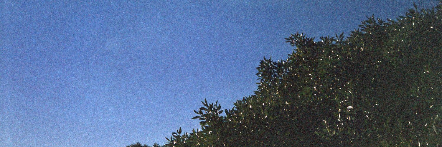 javivp's profile banner image