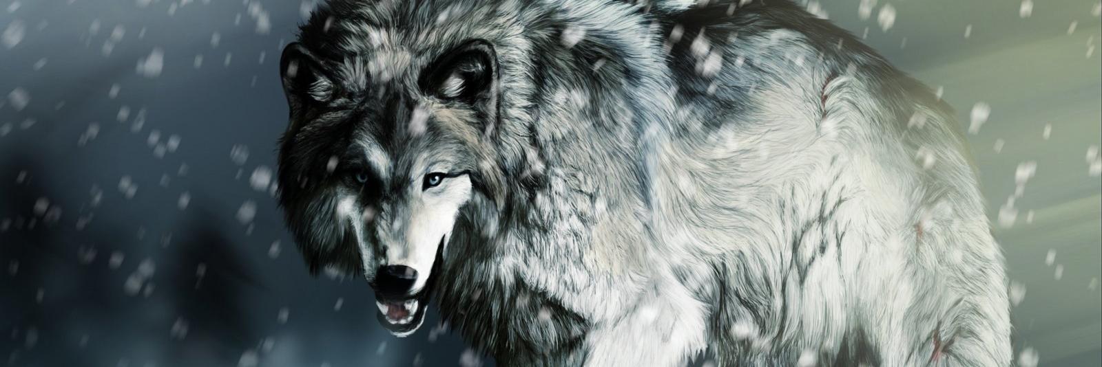 GastonCascone's profile banner image