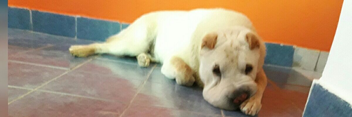 _AgusFernandez_'s profile banner image