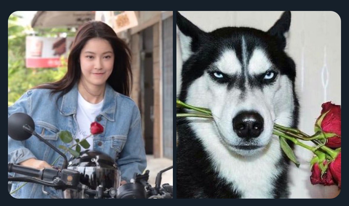 眞露 🐣🐼 banner