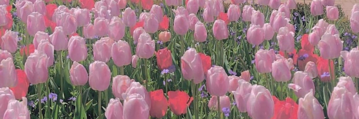 น้องอ้วน🧚 banner