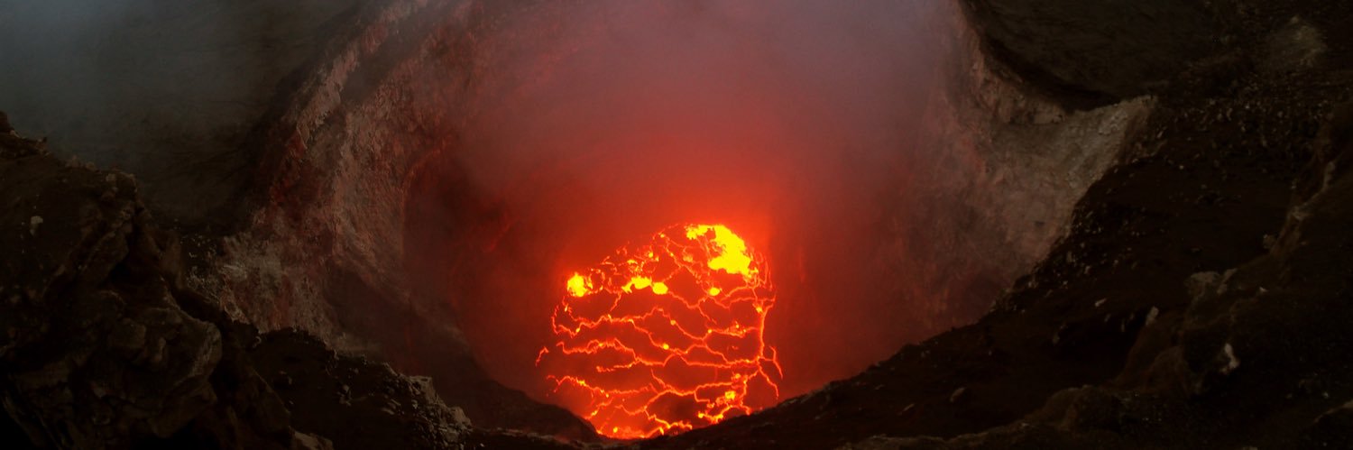 Phallus Menace banner