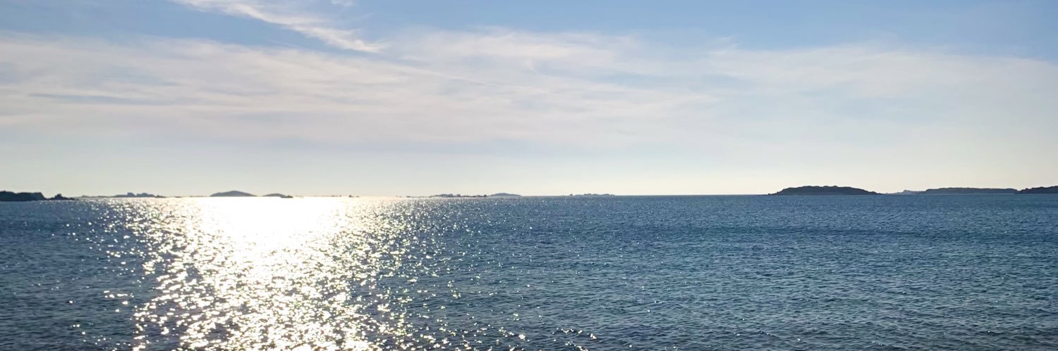 ᴀʀɪᴢᴏɴᴀ banner