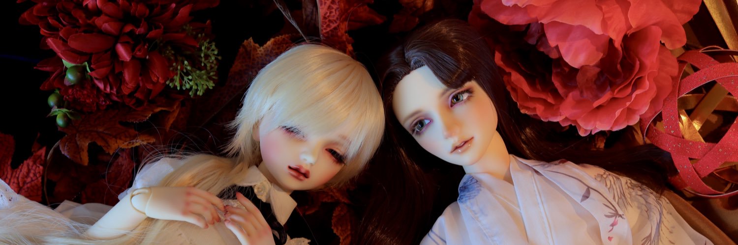 meguru_doll's profile banner image