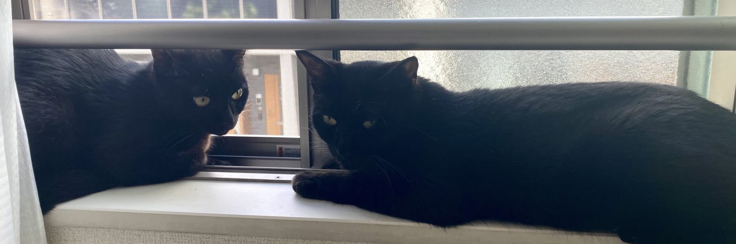 youpi🐈‍⬛黒猫 banner
