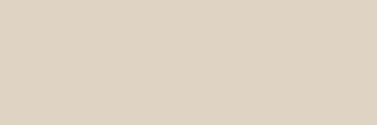 Acel banner