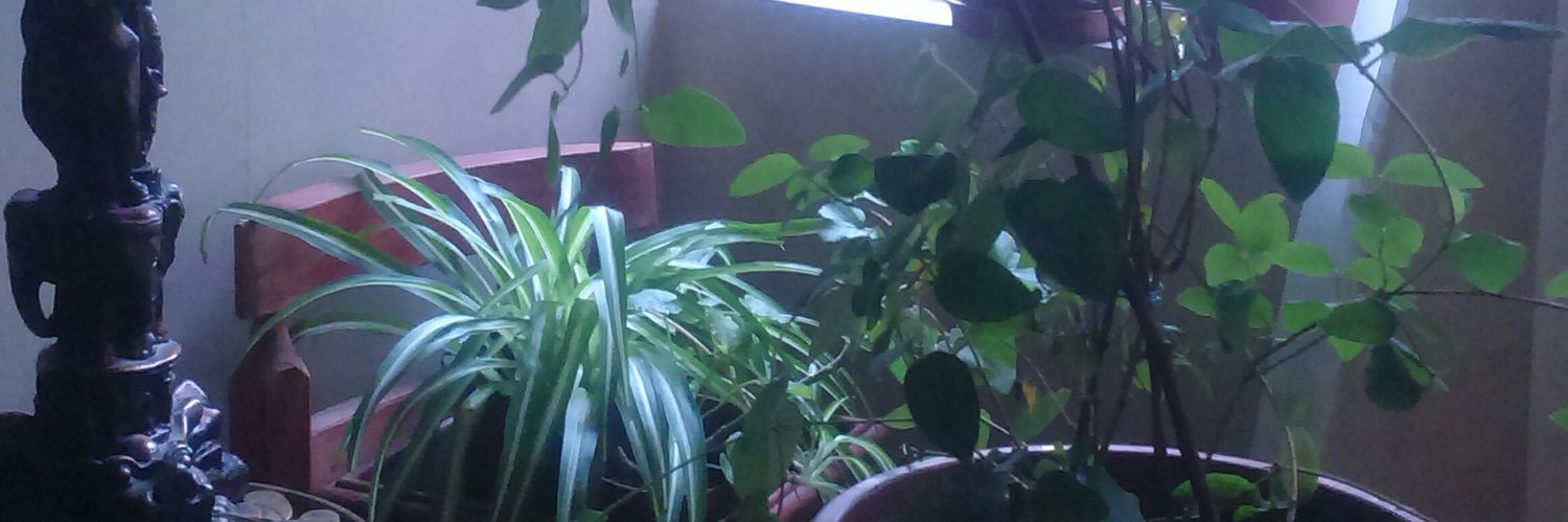 Juani ,Visitadora 🎵💜💜💜 banner