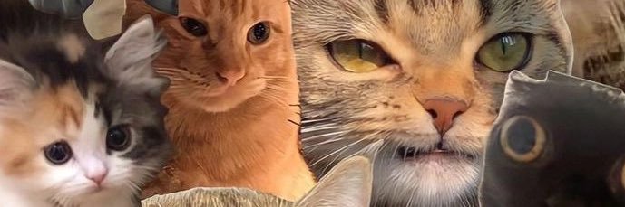 ayuvdyan's profile banner image