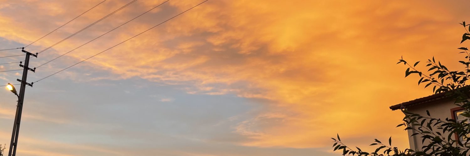 aysegulozbas_'s profile banner image