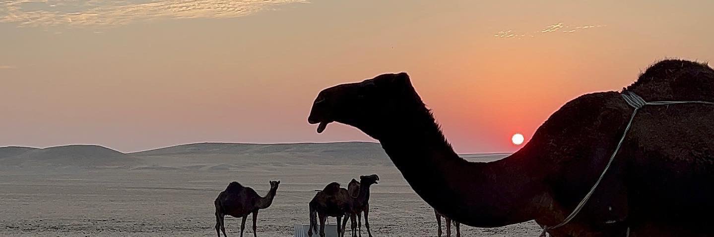 AlthHasan's profile banner image
