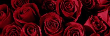 KopperKothar's profile banner image