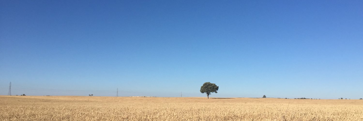 FrancescPeCa's profile banner image