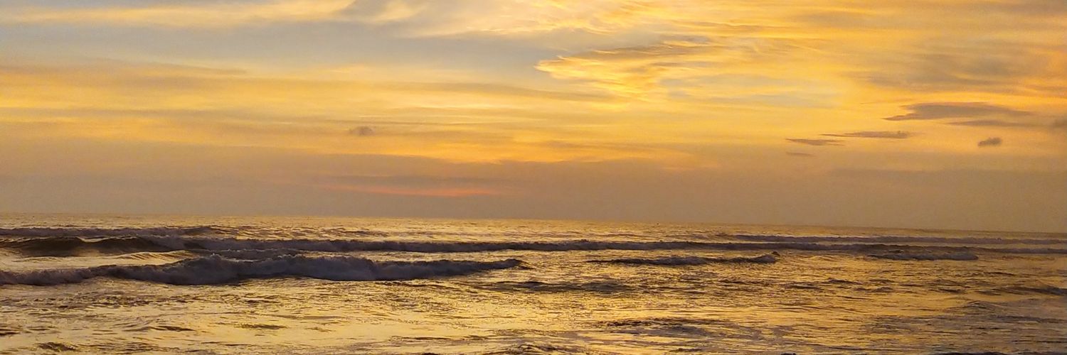 FreeMax71's profile banner image