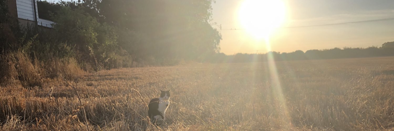 johnniewifi's profile banner image