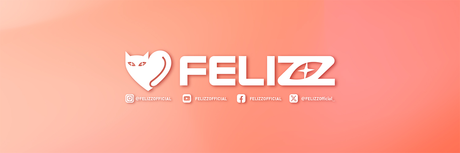 FELIZZ's banner