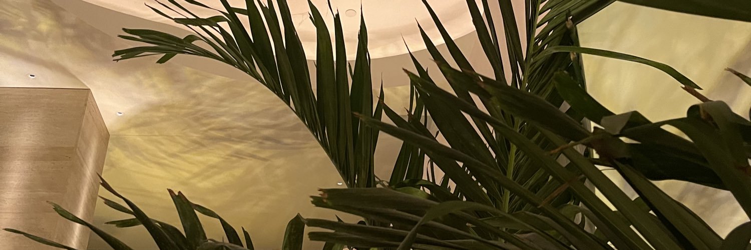 saratonin72's profile banner image