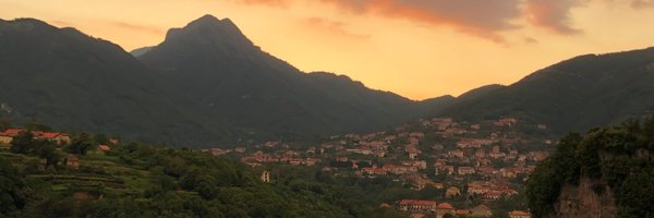 sparrowbarley Profile Banner