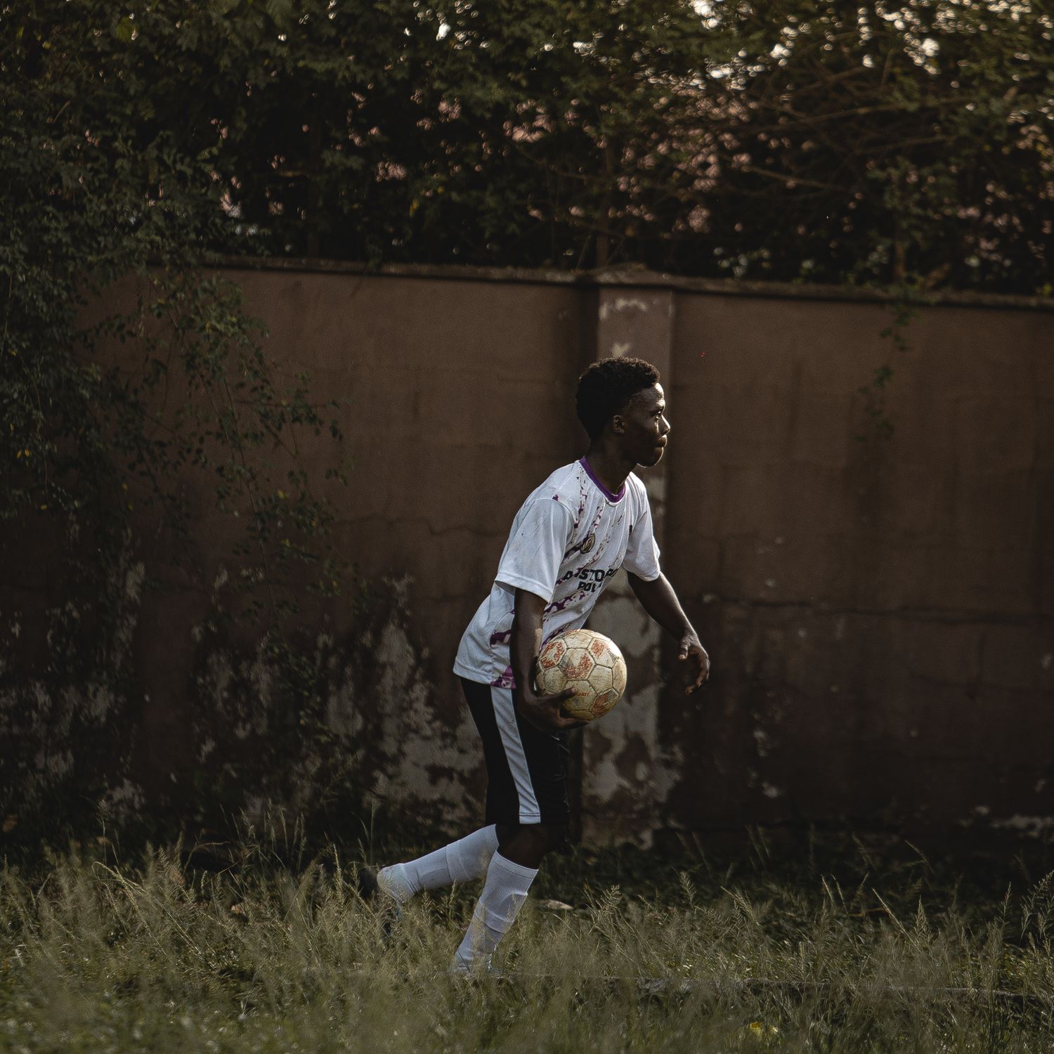 Ägb🥥ñëtiçs ⭐ banner