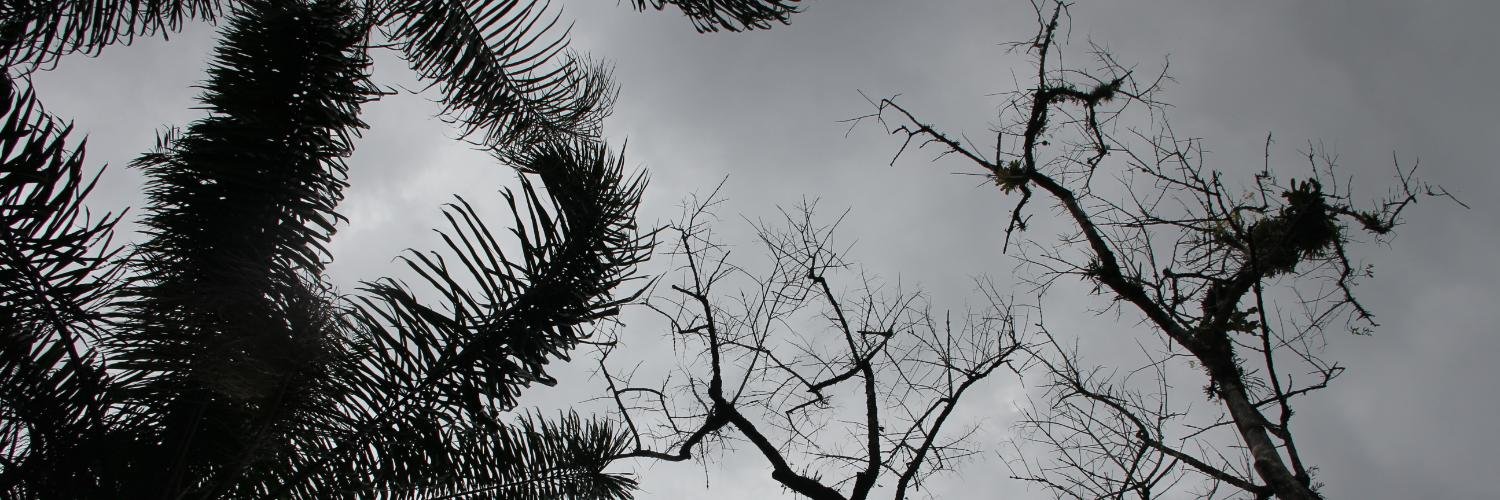 _Jeeane's profile banner image