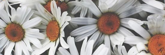 kateysully's profile banner image